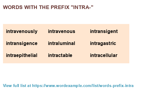 Words With The Prefix intra 683 Results 